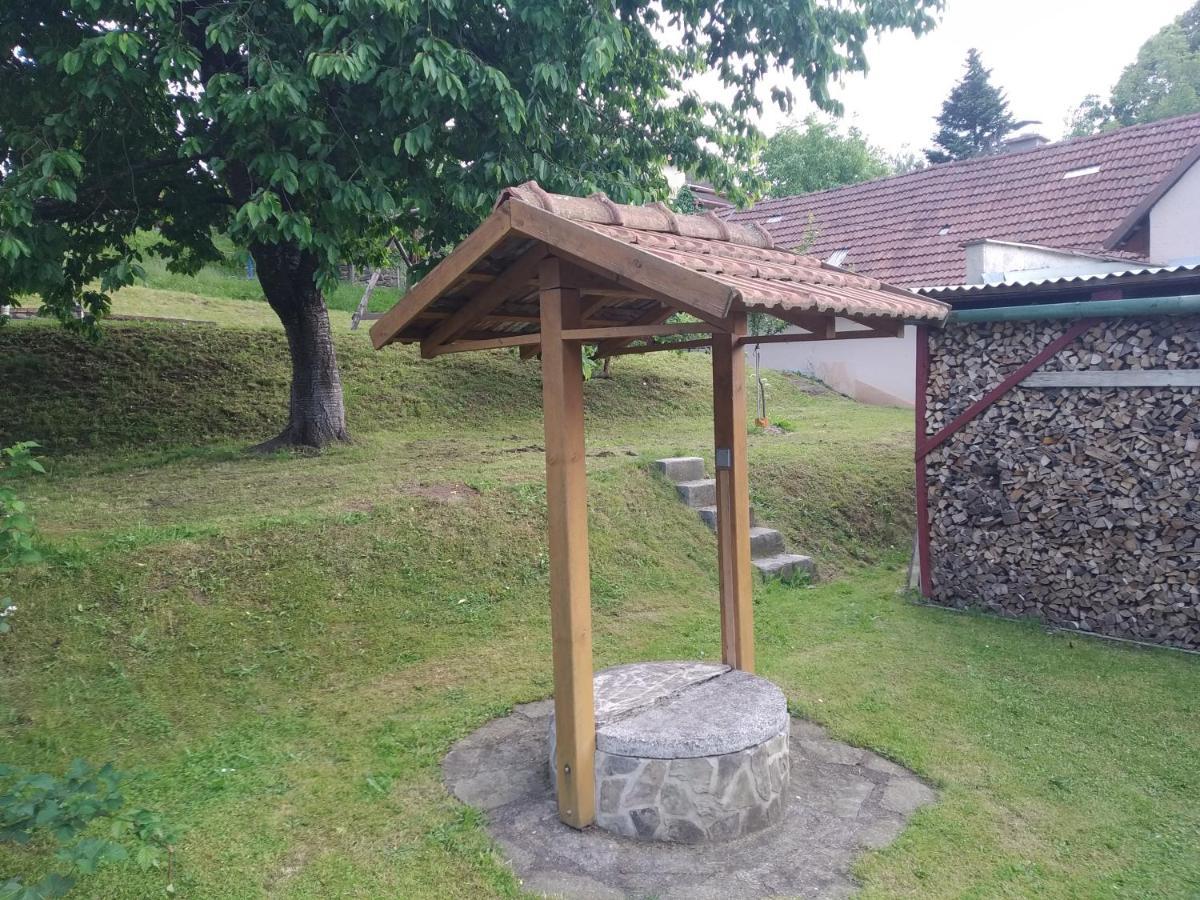 Vila Chaloupka u Vejvodů Skripov Exteriér fotografie